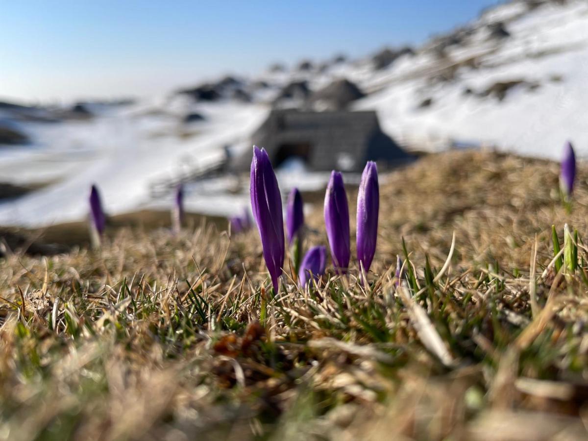 Velika Planina Chalet Slovenka Stahovica Eksteriør bilde